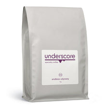 Load image into Gallery viewer, Endless Odyssey
